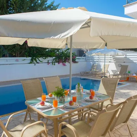Violetta Palm 41