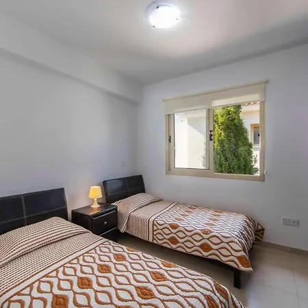 Violetta Palm 41